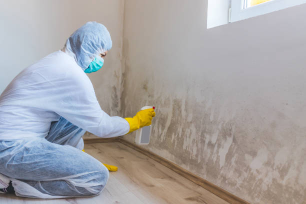 Licensed Mold Testing service in Englewood Cliffs, NJ - WQB Mold Removal