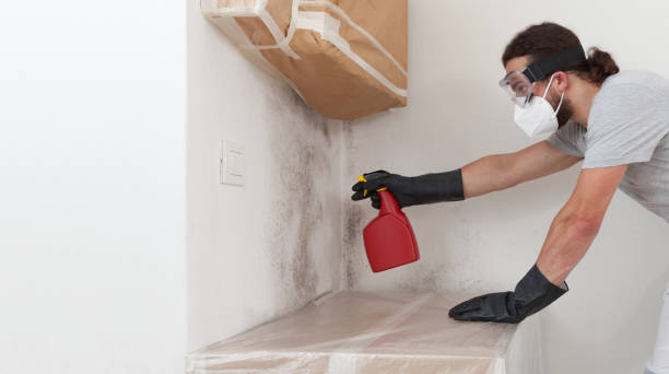 Professional Mold Testing technician working in Englewood Cliffs, NJ