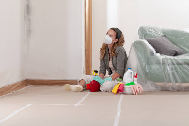 Reliable Mold Testing contractor in Englewood Cliffs, NJ by WQB Mold Removal